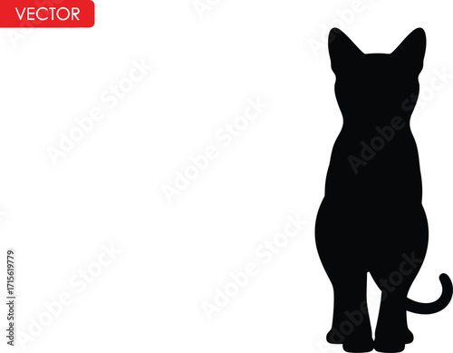 Elegant feline silhouette, domestic animal, pet
