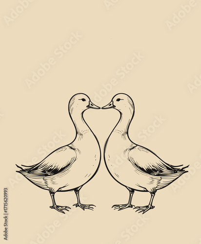 Two ducks in love on a beige background with copy space
