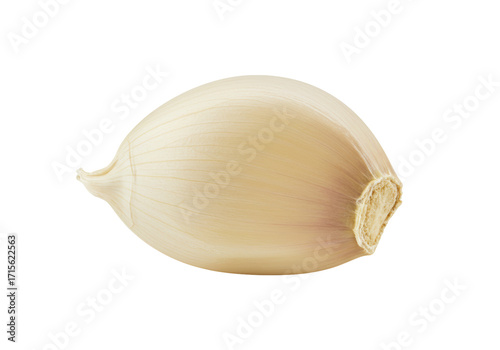 Wallpaper Mural Isolated unpeeled clove of garlic with subtle shades for recipes and seasonings alike Torontodigital.ca