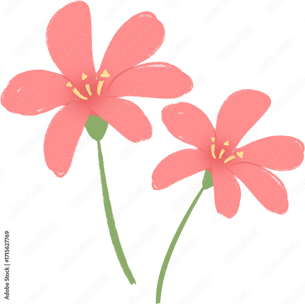 Obraz premium 꽃 삽화