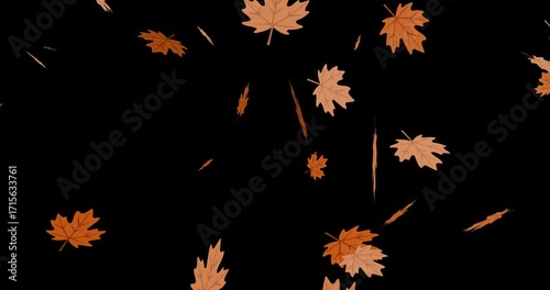 3D animation of autumn maple leaves falling on black background. Seasonal motion element for fall themes, harvest, Thanksgiving, seasonal sales, holiday promos, nature projects and decorations