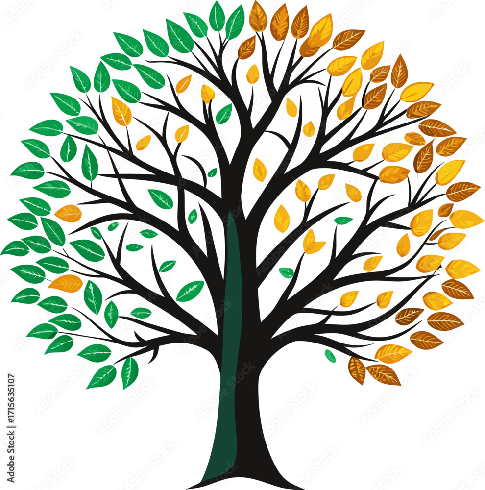 Obraz premium Tree with half green, half autumn-colored leaves. vector line art icon black and white , white background