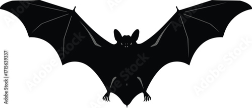 Spooky bat silhouette flying halloween icon dark creature vector
