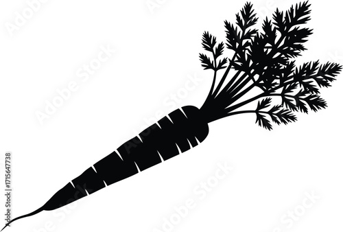Fresh carrot silhouette vegetable silhouette healthy food silhouette garden produce silhouette vector