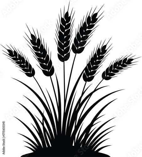 Abstract silhouette of ripe wheat stalks in silhouette black isolated on white vector