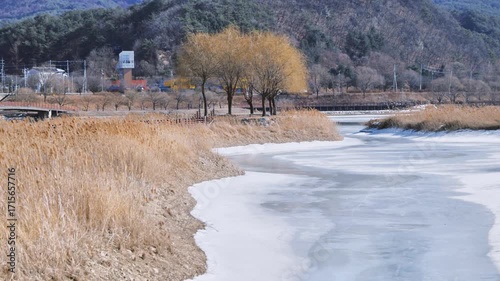 겨울 한반도 섬의 풍경, 갈대가 춤추는 한반도 섬, 갈대의 춤, 겨울풍경, 겨울 공원을 산책하는 사람
