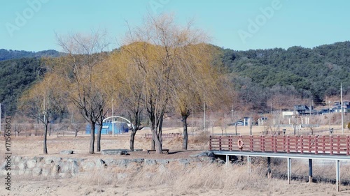 겨울 한반도 섬의 풍경, 갈대가 춤추는 한반도 섬, 갈대의 춤, 겨울풍경, 겨울 공원을 산책하는 사람