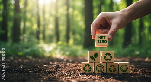 Building net zero future with green sustainability symbols in forest