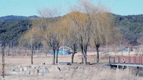 겨울 한반도 섬의 풍경, 갈대가 춤추는 한반도 섬, 갈대의 춤, 겨울풍경, 겨울 공원을 산책하는 사람