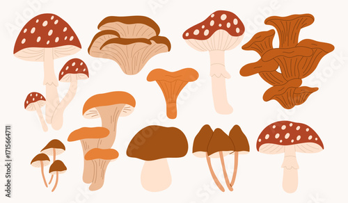 Hand draw autumn mushrooms collection
