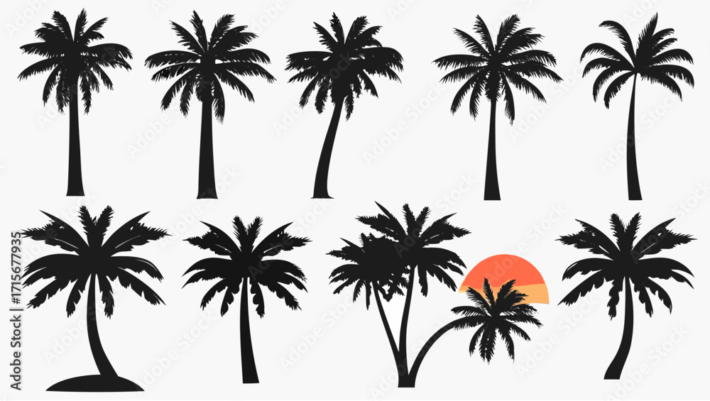 Fototapeta premium Tropical palm tree silhouettes collection brings summer vibes to your designs, perfect for vacation themes