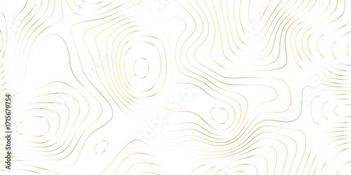 Abstract gradient wavy lines on white. Topographic line contour map. Luxury line art background. Geographic mountain relief diagram line curve pattern. Concept of a conditional geography scheme.
