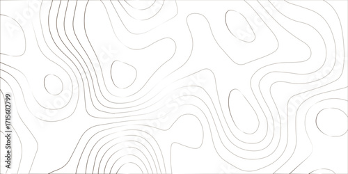 Abstract gradient wavy lines on white. Topographic line contour map. Luxury line art background. Geographic mountain relief diagram line curve pattern. Concept of a conditional geography scheme.