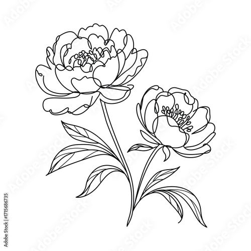Elegant peony flower line art illustration in black and white for wedding invitations and minimalist design projects with sophisticated botanical elements