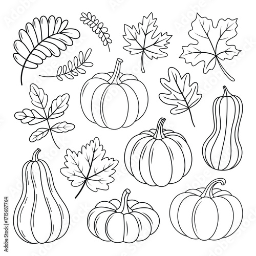 Hand Drawn Autumnal Harvest with Pumpkins and Leaves Black and White Outlines Festive Fall Season Design Elements