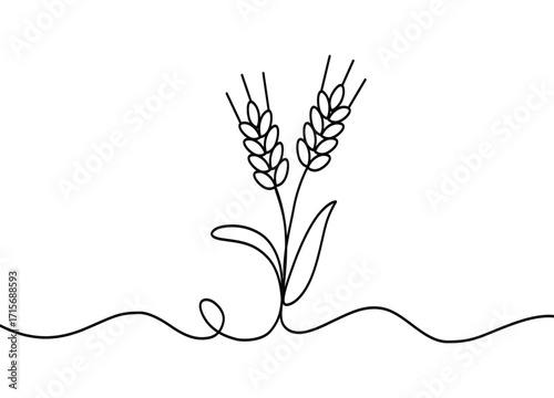 Minimalist wheat line art illustration for packaging and branding wheat ears design featuring agriculture concept and grain harvest for food industry