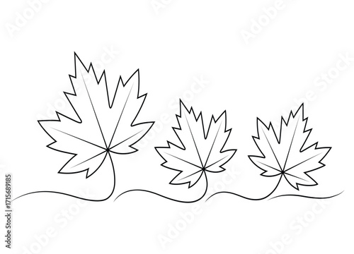 Three Maple Leaves Outlines in a Row Botanical Illustration Minimalist Style Black and White Vector Illustration for Coloring Books and Educational Resources