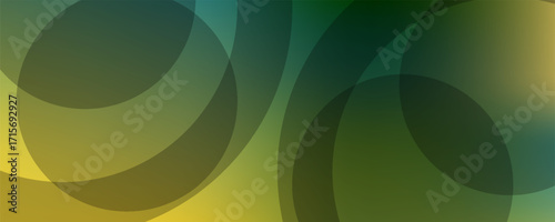 Abstract overlapping lines and circles geometric background with gradient colors, vector illustration eps10