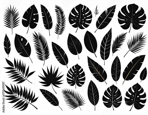 Tropical leaves, palm leaves silhouettes, diverse collection, black shapes, design 