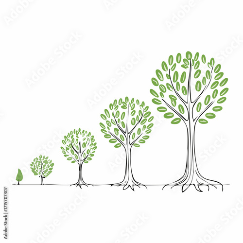 Trees, growth stages sketch. Animation progress. Plant development. Hand drawn vector line.