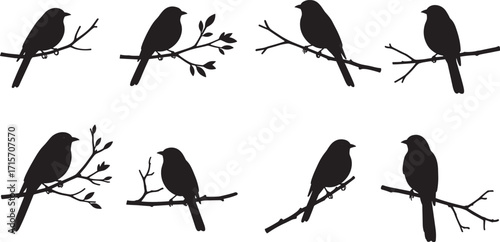 Bird, silhouette, perched, branch, twig, leaf, black, vector, icon, nature, wildlife, animal, tree, minimalist, flying, feather, forest, design, illustration, shape