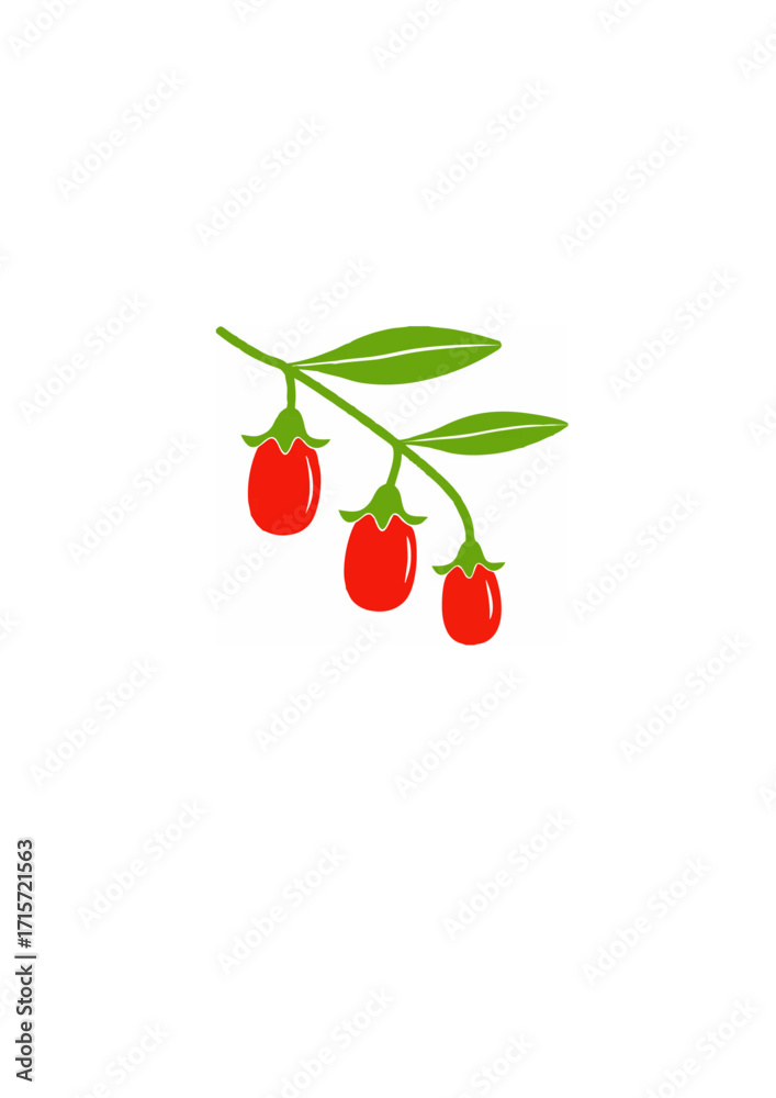Obraz premium Goji Berry Fruits Vector Image.ai