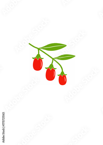 Goji Berry Fruits Vector Image.ai
