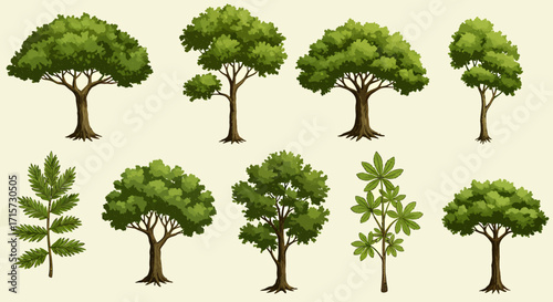 Collection of twelve illustrated green trees and plants, various styles, flat lay design on a beige background.