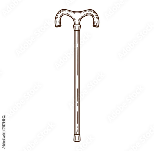A detailed vintage style illustration of a classic elderly walking cane