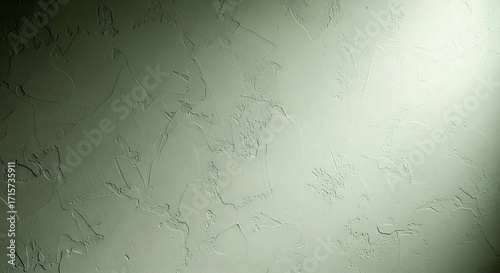 Artisanal Venetian plaster wall texture in muted sage green, minimalist background with subtle side lighting