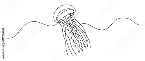 jellyfish floating in water line art vector