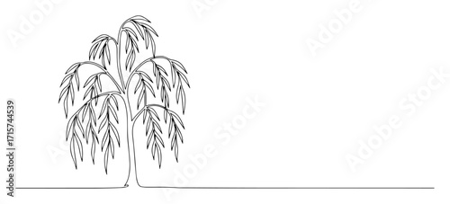 weeping willow tree line art vector