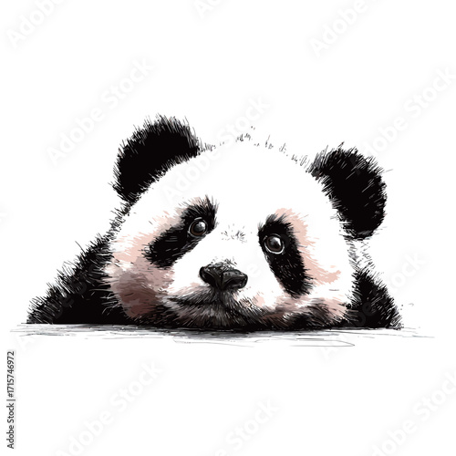 A cute panda rests its head on a surface, looking curiously toward the viewer. Its distinctive black and white fur stands out against the light background in a serene moment.