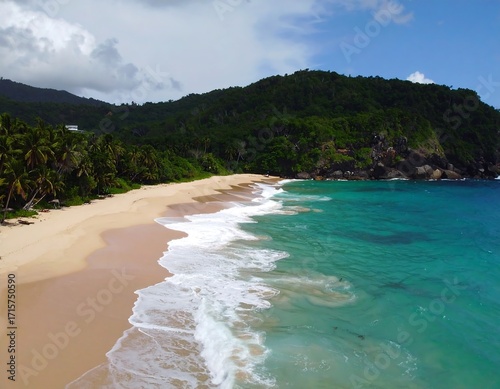 Tropical beach scene, aerial view