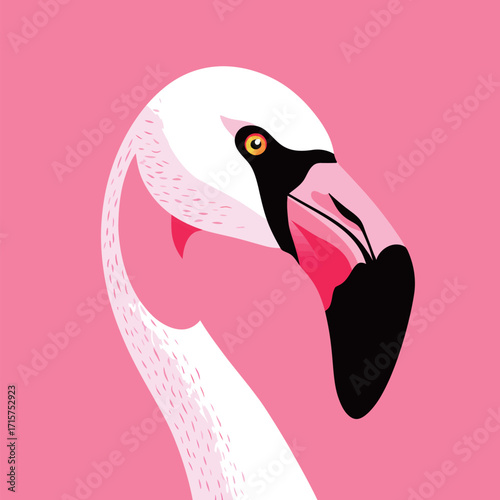 A close-up view of a flamingos head showcasing its distinct features, including the bright orange eye and black beak against a pink backdrop, highlighting its beauty.