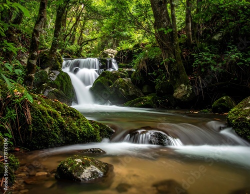Lush forest stream cascading over rocks (1)