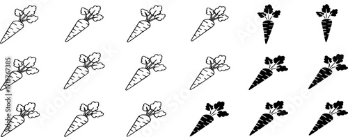 Carrots line and solid icon set Vector. Vegetable Symbol, Nutrition and Diet Illustration
