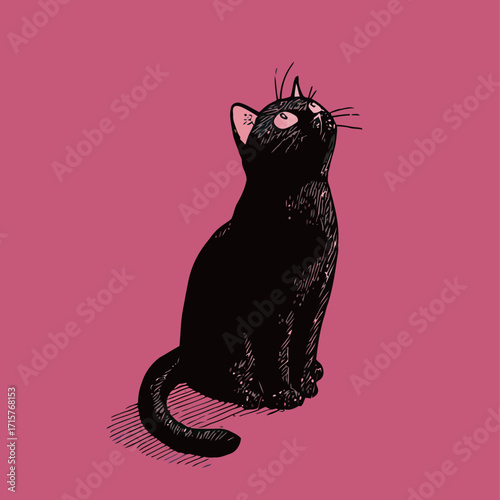 A black cat sits upright with its tail curling slightly, staring upwards with wide eyes. The bright pink background highlights its sleek fur and curious demeanor.