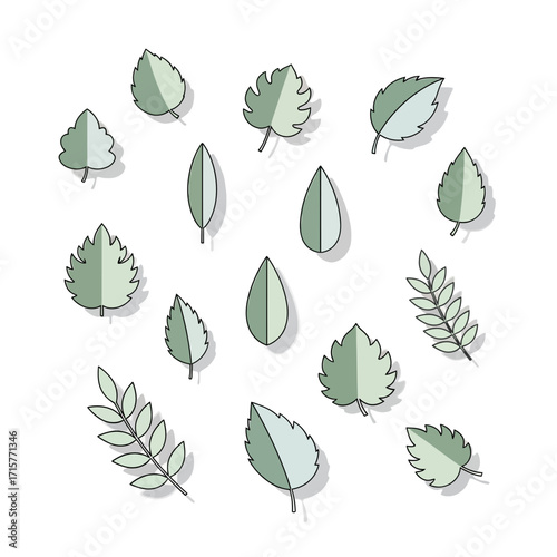 Collection of various green leaves in a circular arrangement.