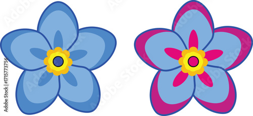 High quality digital illustration of two forget me not flowers with yellow centers vector