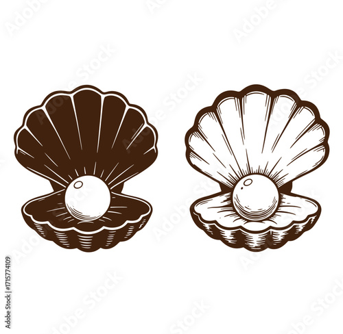 Elegant vector illustration of two clamshells featuring pearls in vintage engraving style