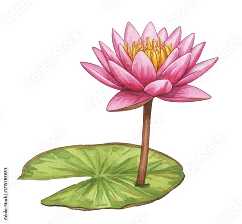 Adobe Illustrator Artwork