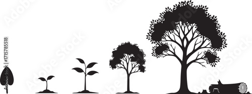 “Tree Growth Vector Illustration Set – Black and White Silhouettes of Seedling, Sapling and Mature Tree Showing Life Cycle, Development, Ecology, Sustainability, Business Growth
