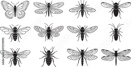 Detailed Insect Silhouettes Collection Diverse Bugs and Flying Insects on Transparent Background