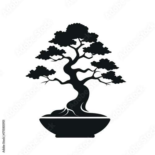 bonsai tree isolated on white