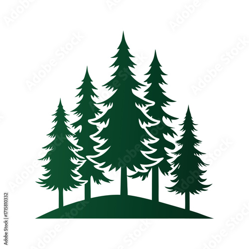 vector illustration of a pine trees
