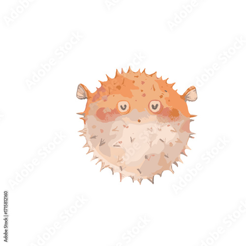 Puffer fish on a white background