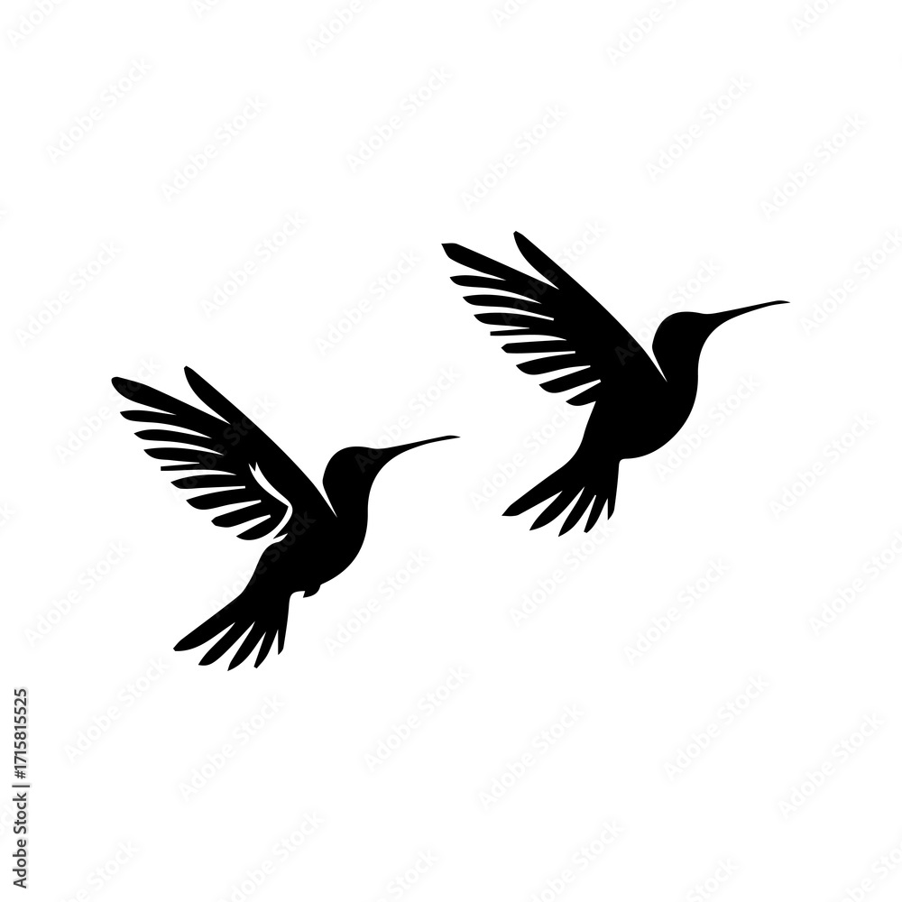 Obraz premium Silhouette of flying birds on white background. Inspirational body flash