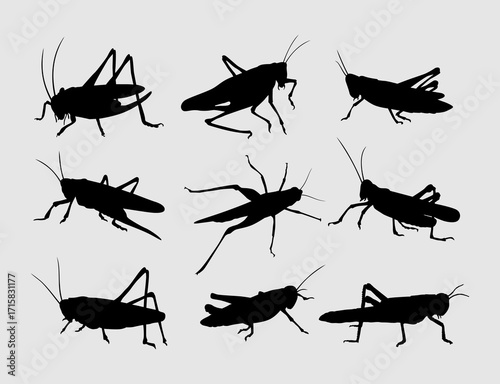 set of grasshopper insect silhouettes illustration