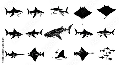 Sharks and Rays Silhouettes: Great White, Hammerhead, Manta Ray Set